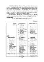 Research Papers 'Uzņēmuma SIA "Madara Cosmetics" SVID analīze un attīstības stratēģijas izstrādāš', 19.