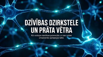 Presentations 'Darbības potenciāls un epilepsija: depolarizācija un repolarizācija smadzenēs', 1.