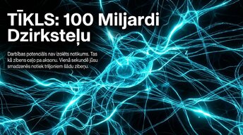 Presentations 'Darbības potenciāls un epilepsija: depolarizācija un repolarizācija smadzenēs', 5.