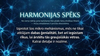 Presentations 'Darbības potenciāls un epilepsija: depolarizācija un repolarizācija smadzenēs', 13.