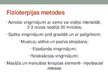 Presentations 'Fibromialģijas sindroms. Ārstēšanas iespējas, fizioterpija', 17.
