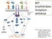 Presentations 'RET proto-onkogēns, tā veidotais receptors un izraisītās slimības', 5.