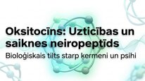 Presentations 'Oksitocīns', 1.