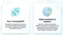 Presentations 'Oksitocīns', 2.