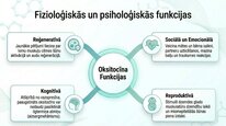 Presentations 'Oksitocīns', 6.