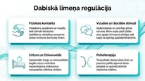 Presentations 'Oksitocīns', 10.