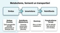 Presentations 'Oksitocīns', 16.