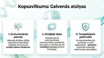 Presentations 'Oksitocīns', 23.