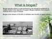 Presentations 'Biogas', 2.