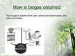 Presentations 'Biogas', 4.