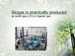 Presentations 'Biogas', 8.