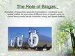 Presentations 'Biogas', 10.