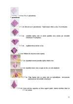 Research Papers 'Origami un tā pielietojums pedagoģijā', 14.