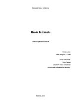Research Papers 'Drošs internets', 1.