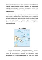 Summaries, Notes 'Культура аборигенов Австралии и папуасов Новой Гвинеи', 8.