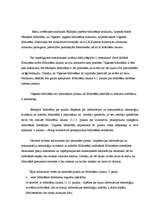 Essays 'Jēkabpils pilsētas un Viļķenes pagasta bibliotēku nolikumu analīze', 2.
