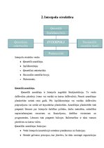 Research Papers 'Interpola funkcijas un raksturojums', 5.