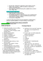 Summaries, Notes 'Bērnu uzvedības traucējumi un pozitīvā disciplinēšana', 8.