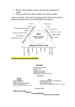 Summaries, Notes 'Bērnu uzvedības traucējumi un pozitīvā disciplinēšana', 13.