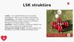 Presentations 'Latvijas Sarkanais Krusts', 5.