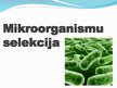Presentations 'Mikroorganismu selekcija', 1.