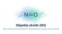 Presentations 'Slāpekļa oksīds', 1.