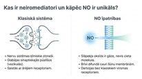 Presentations 'Slāpekļa oksīds', 2.