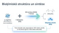 Presentations 'Slāpekļa oksīds', 4.