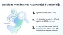 Presentations 'Slāpekļa oksīds', 5.