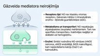Presentations 'Slāpekļa oksīds', 17.