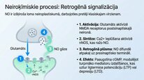 Presentations 'Slāpekļa oksīds', 18.