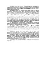 Summaries, Notes 'Žils Verns', 4.