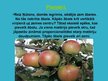 Presentations 'Gravitācija', 7.