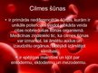 Presentations 'Cilmes šūnas', 3.