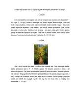 Research Papers 'Jauktu koku mežs', 7.