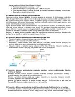 Summaries, Notes 'Spektroskopijas metodes medicīnā', 30.