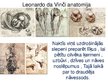 Presentations 'Dižrenesanses mākslinieki Itālijā 15.-16.gadsimtā', 4.