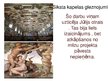 Presentations 'Dižrenesanses mākslinieki Itālijā 15.-16.gadsimtā', 14.