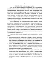 Research Papers 'Franšīzes būtības un franšīzes uzņēmumu tirgus analīze', 17.