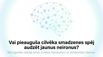 Presentations 'Vai pieauguša cilvēka smadzenes spēj audzēt jaunus neironus?', 1.