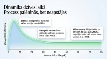 Presentations 'Vai pieauguša cilvēka smadzenes spēj audzēt jaunus neironus?', 6.