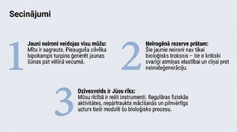 Presentations 'Vai pieauguša cilvēka smadzenes spēj audzēt jaunus neironus?', 13.
