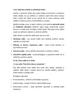 Essays 'Sociālās un pilsoniskās mācību jomas spēles: izglītības un attīstības nozīme', 1.