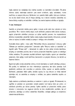 Essays 'Sociālās un pilsoniskās mācību jomas spēles: izglītības un attīstības nozīme', 5.