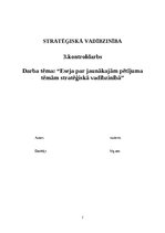 Essays 'Eseja par jaunākajām pētījuma tēmām stratēģiskā vadībzinībā', 1.