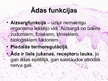 Presentations 'Āda, tās funkcijas', 3.