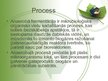 Presentations 'SIA "Baltic Green Gas" - biogāzes uzņēmums', 12.