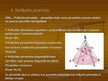 Research Papers 'Piramīdas', 11.