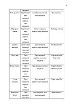 Research Papers 'The prevalence of compounding as a term formation pattern in the informative tex', 23.