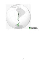 Research Papers 'Starptautiskā tirdzniecība Čīles Republikā un krīzes ietekme uz tirdzniecību', 4.